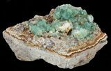 Fluorite Crystal Cluster - Rogerley Mine #60372-1